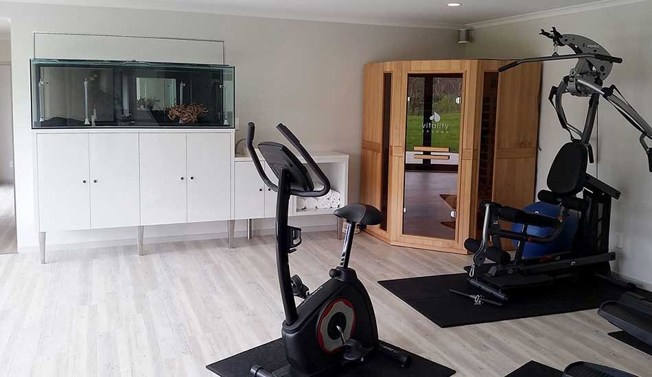 145 ergo david renovation gym 1