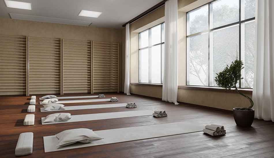 29 ergo david renovation yoga studio